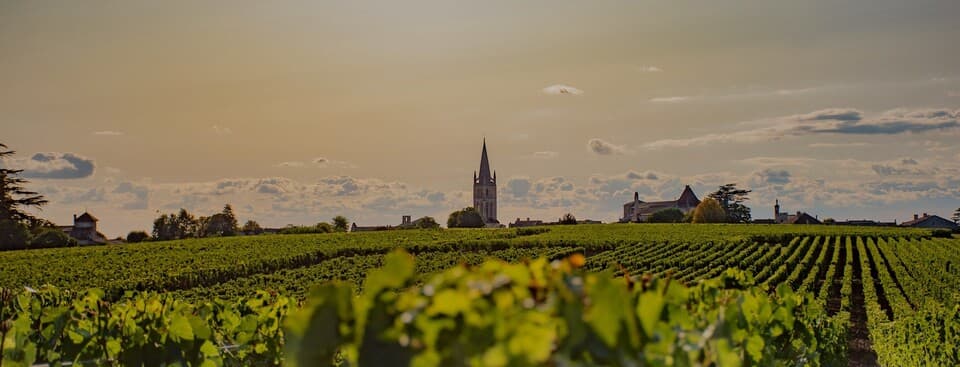 Vienne
