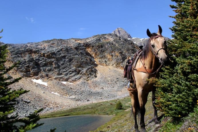 Helicopter Tour and Horseback Ride in the Rockies in Alberta - vue 4