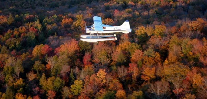 Seaplane Flight in La Mauricie National Park - Departure from Trois-Rivières - vue 2
