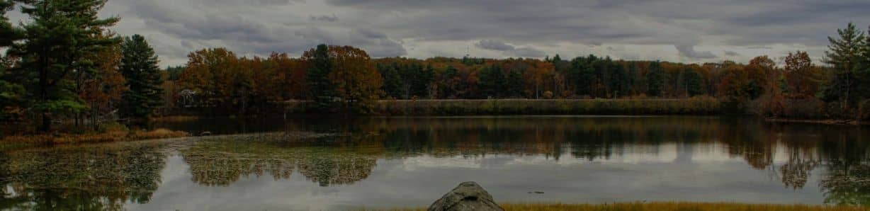 Virginia